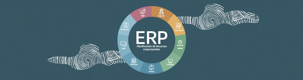 what is cloud erp