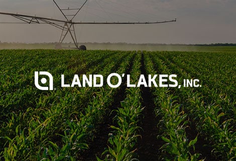 Land O' Lakes