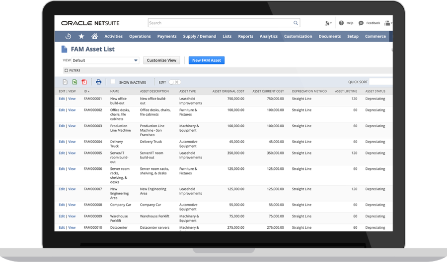 Panel de Gestión de Activos Fijos de NetSuite | Dashboard Financiero para NetSuite Contabilidad Online